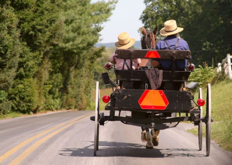 Lancaster County: Amish Farmlands, Museum Tour, Farm Visit - Tour Guide and Accessibility Information