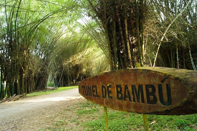 Lancetilla Botanical Garden - Inclusions and Price Information