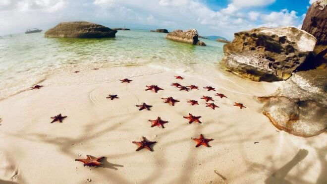 Land 2 Phu Quoc: Kayaking and Starfish Beach Tour (No Lunch) - Highlights of the Experience