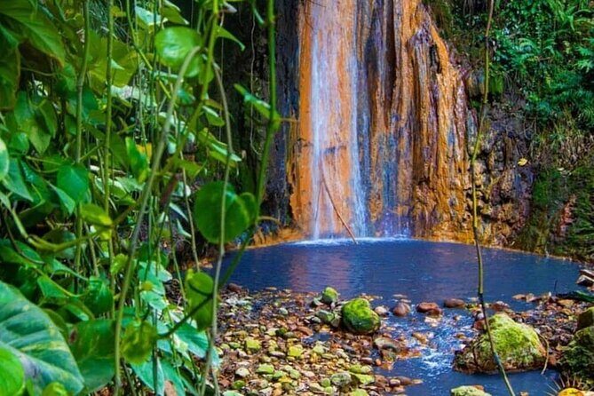 Land and Sea Tour from Marigot Bay Sulphur Springs and Mud Baths - Who Should Consider This Tour?
