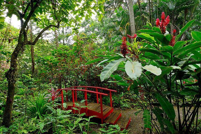 Land and Sea Tour from Marigot Bay Sulphur Springs and Mud Baths - Final Thoughts