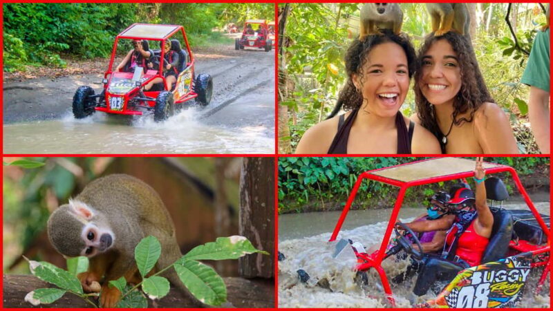 Land of Monkeys Plus ATV Buggies Adventure in Puerto Plata - Good To Know