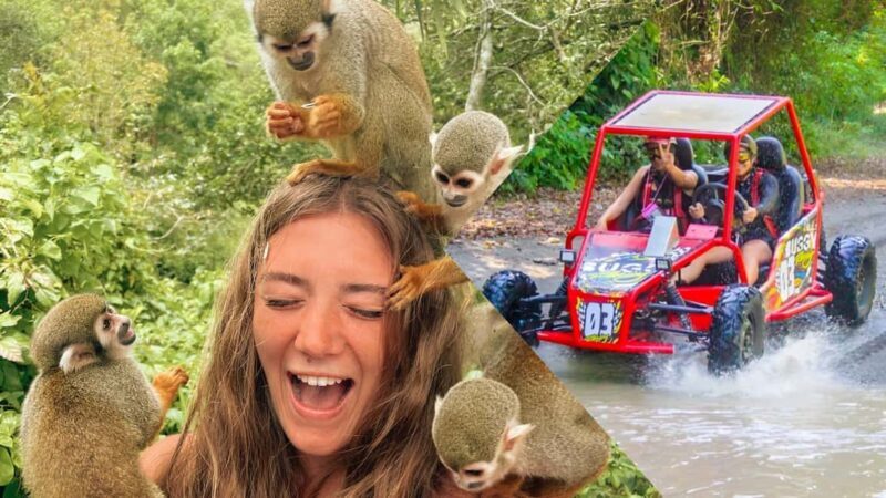 Land of Monkeys Plus ATV Buggies Adventure in Puerto Plata - Who Is This Tour Best For?