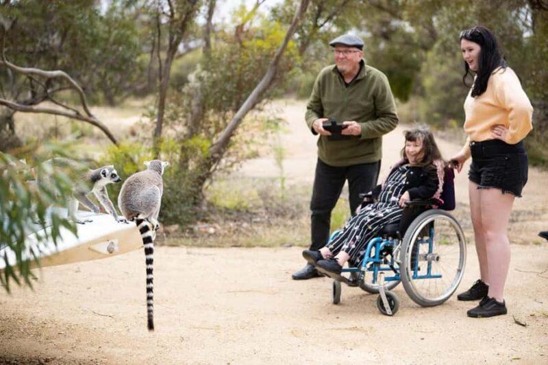 Land of the Lemurs Experience & a Day at Monarto Safari Park - An In-Depth Look at the Land of the Lemurs Experience