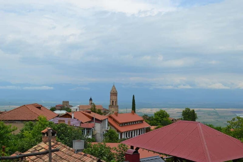 Land of the Sun Full Day Wine and Grapes Tour in Kakheti - Final Thoughts