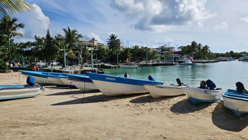 "Land & People" Individual Full Day Tour - from/to Bávaro/Punta Cana - Who Will Love This Tour?