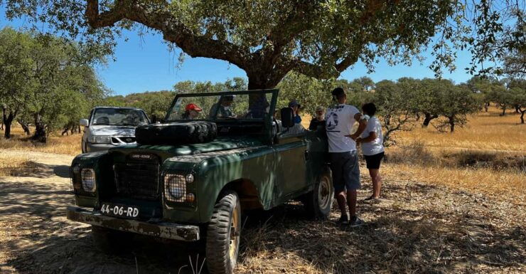 Land Rover Cork Safari Experience Pack - Good To Know