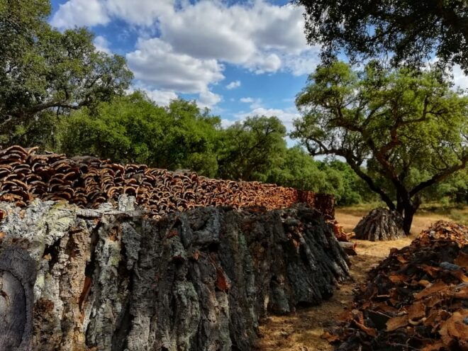 Land Rover Cork Safari Experience Pack - Culinary Experience