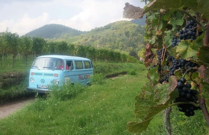 Landau: Tour in a vintage van through the Palatinate wine landscape - Good To Know