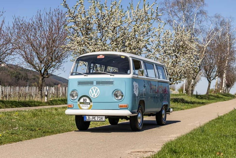 Landau: Tour in a vintage van through the Palatinate wine landscape - The Scenic Drive and Viewpoints 