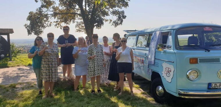 Landau: Tour in a vintage van through the Palatinate wine landscape - Practicalities and Value