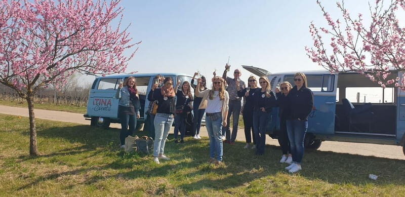 Landau: Tour in a vintage VW bus through the Palatinate wine country - Final Thoughts