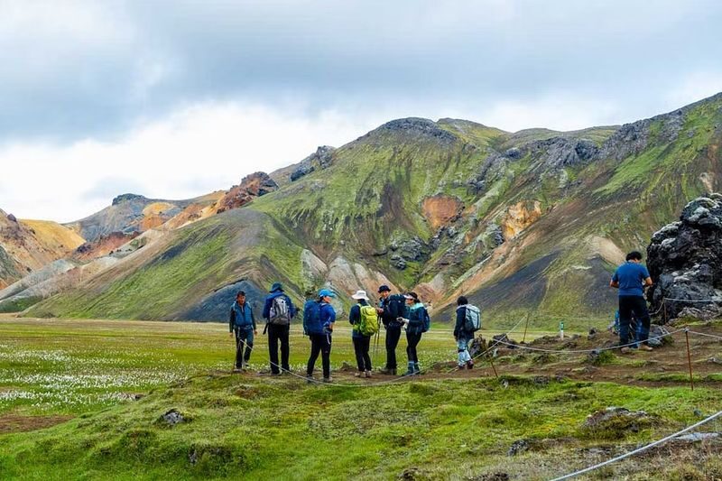 Landmannalaugar hiking, nature bath and Haifoss day tour - A long road to Iceland’s rhyolite country
