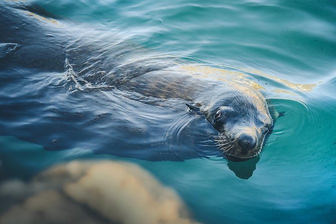 Lands End Tour Basic - Pricing and Booking Details