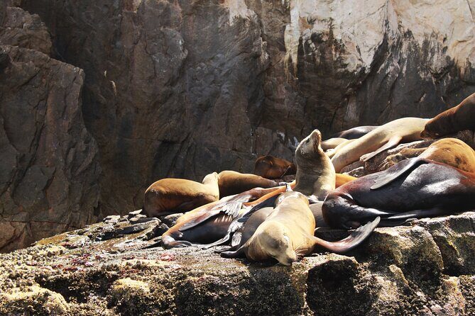 Land's End Tour in a Glass Bottom Boat - Beaches: Lover’s Beach and Divorce Beach