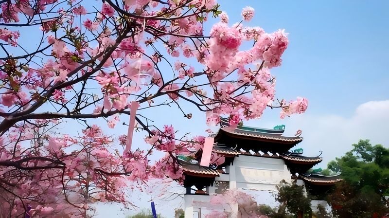 Landscape Garden of Lingnan Culture: Baomo Garden - Start at the Blooming and Singing Wall