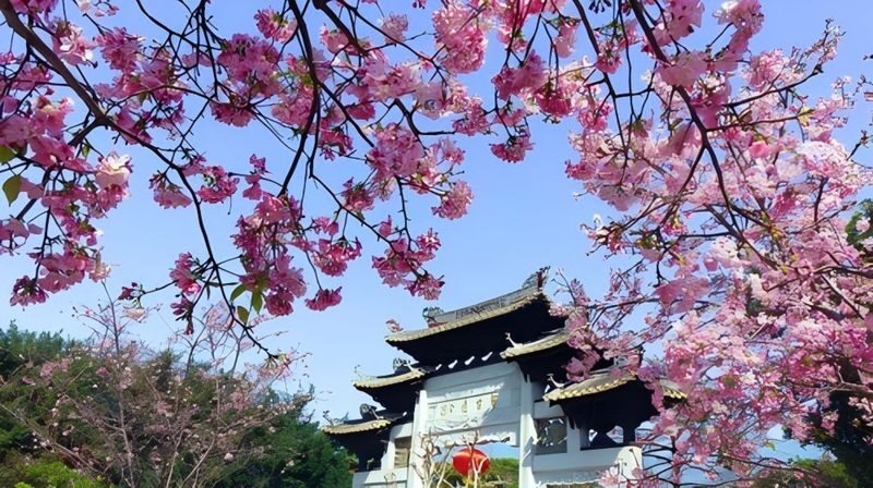 Landscape Garden of Lingnan Culture: Baomo Garden - Follow the ponds, bonsai, and garden paths