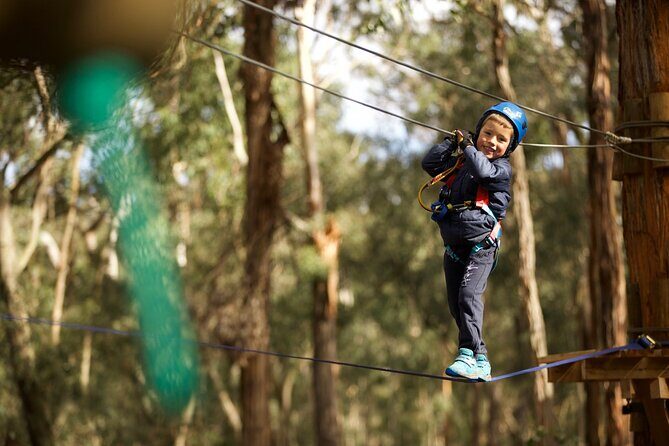 Lane Poole Park Dwellingup - Junior Tree Ropes & Ziplining - An In-Depth Look at Lane Poole Park Dwellingup’s Tree Ropes & Ziplining