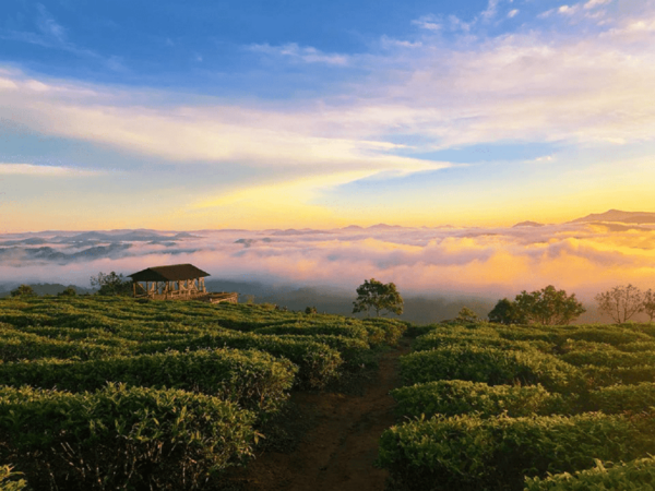 Langbiang Mountain Tour - Frequently Asked Questions