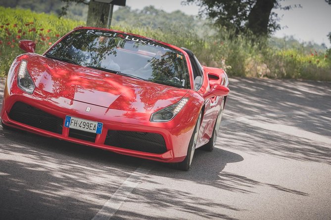 Langhe / Barolo / Alba - Ferrari Tour - Additional Information