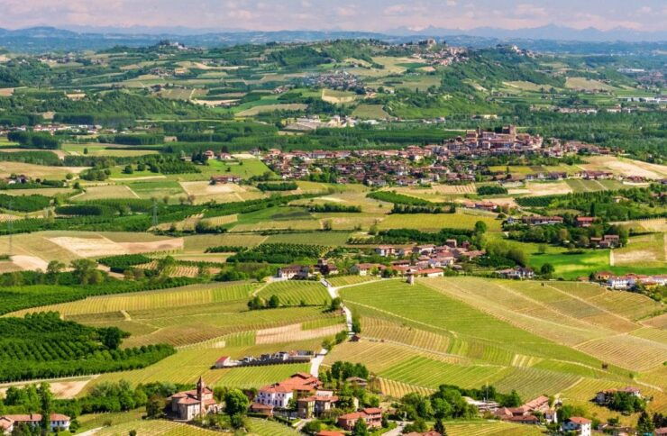 Langhe / Barolo / Alba - Ferrari Tour - Language Options and Experience Highlights
