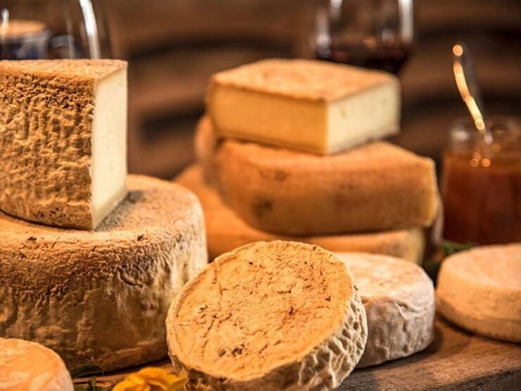Langhe: Guided Cheese Tasting Experience - Experience Details