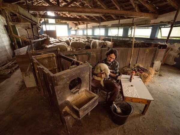Langhe: Guided Cheese Tasting Experience - Frequently Asked Questions