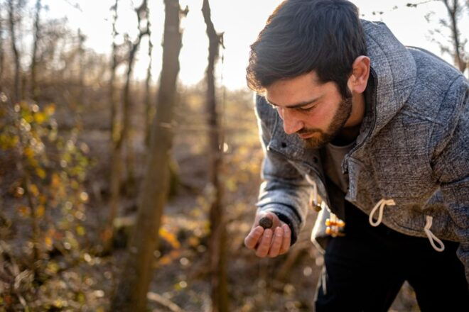 Langhe: Hunt for Truffles at Sunset With Tastings and Wine - Winery Visit