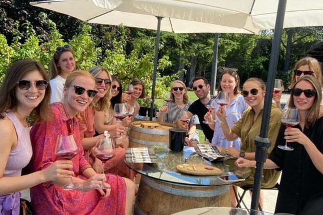 Langhe & Monferrato: Vineyard Tour and Wine Tasting - Activity Description