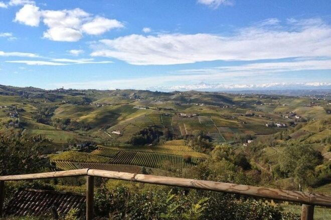 Langhe & Monferrato: Vineyard Tour and Wine Tasting - Booking Information