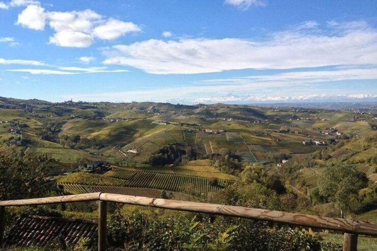 Langhe & Monferrato: Vineyard Tour and Wine Tasting - Booking Details