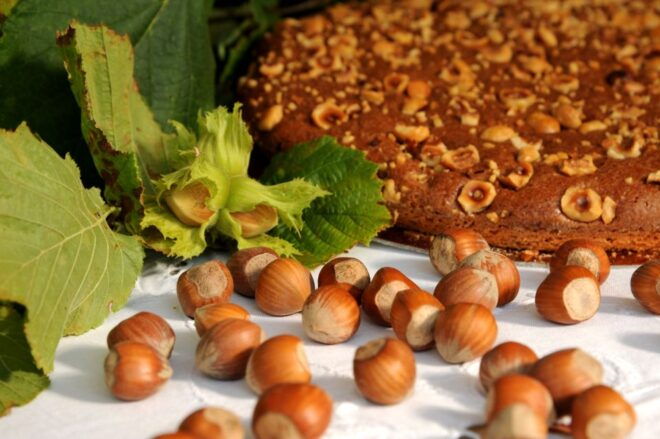 Langhe: Pastry Class With the Best Hazelnut in the World - Meeting Point