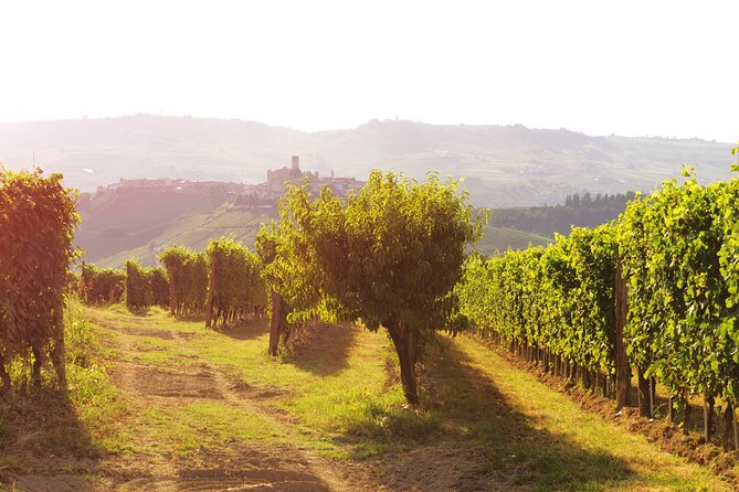 Langhe (Piedmont): Wine Tasting Experience - Pricing and Booking