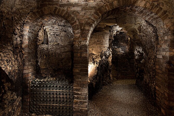 Langhe (Piedmont): Wine Tasting Experience - Guided Wine Tasting and Education
