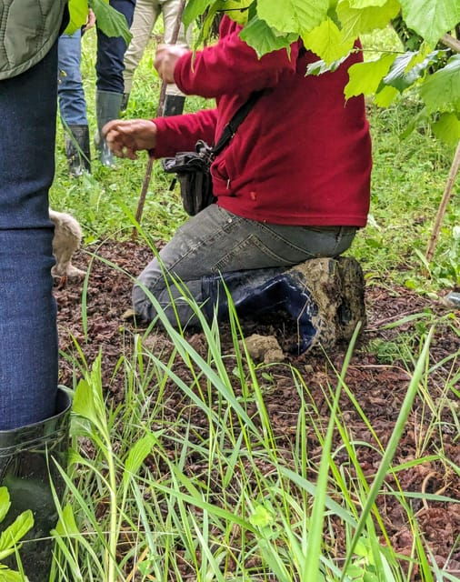 Langhe: Truffle Hunt and Wine-Tasting in a Cellar - The Experience: Truffle Hunting with a Local "Trifulau"