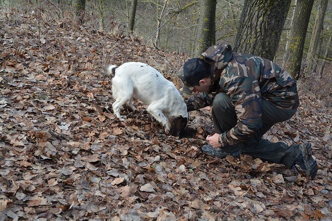 Langhe Truffle Hunting Experience - Additional Information
