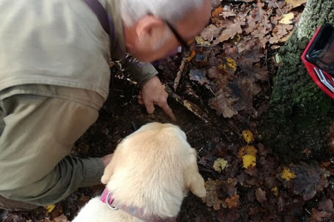 Langhe Truffle Hunting Experience - Frequently Asked Questions
