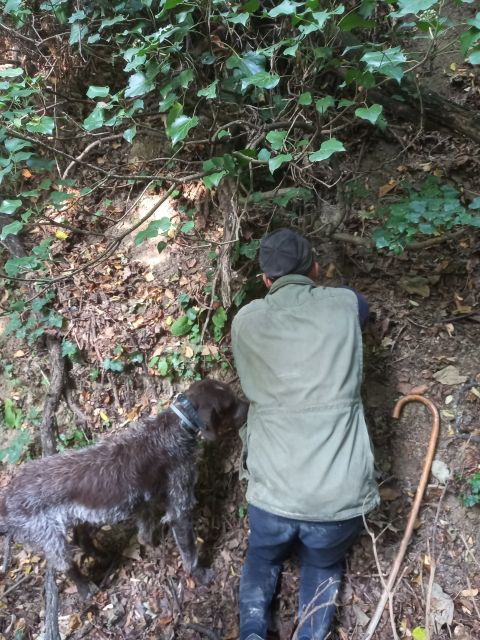 Langhe: Truffle Hunting Experience - Activity Details for Truffle Hunting
