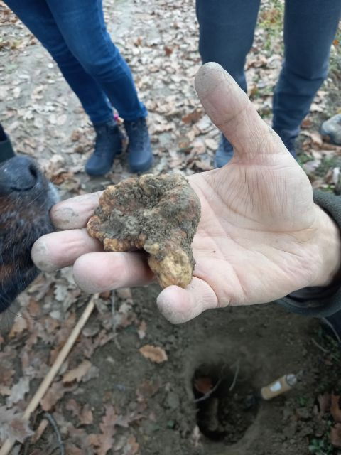 Langhe: Truffle Hunting Experience - Inclusions for Truffle Hunting