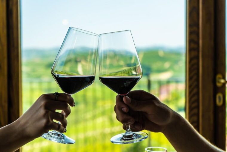 LANGHE : Vespa Tour to the Wine Region of Barolo - The Sum Up: Why You Should Consider This Vespa Tour