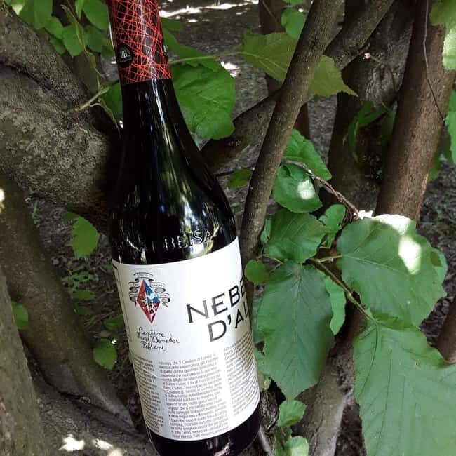 Langhe: Visit to the Vineyard and Historic Cellars with Tasting - What Makes This Tour Special