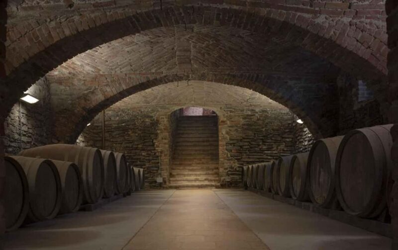 Langhe: Visit to the Vineyard and Historic Cellars with Tasting - The Food and Drink