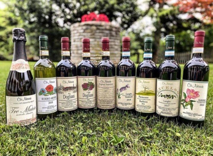 Langhe: Wine and Food Tasting Experience - Highlights