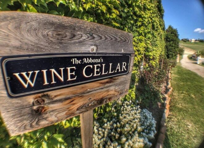 Langhe: Wine and Food Tasting Experience - Full Description