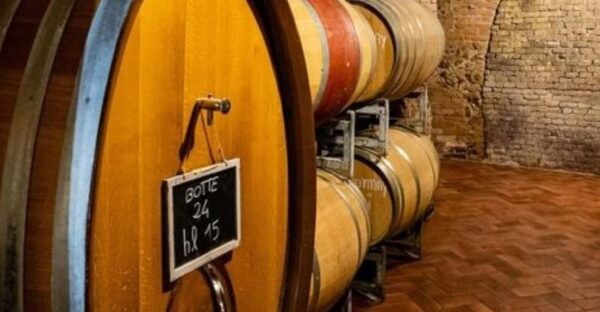 Langhe Wine Tour With a Winemaker - Wineries to Explore