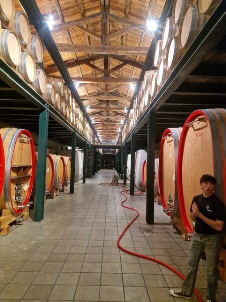 Langhe Wine Tour With a Winemaker - Transportation and Meeting Point