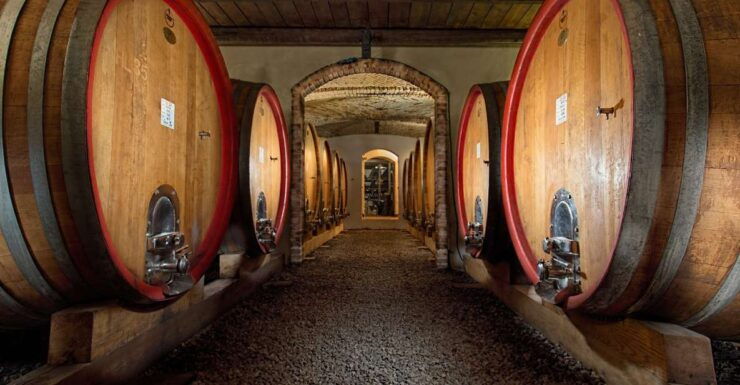 Langhe: Winery Tour and Wine Tasting - Activity Details