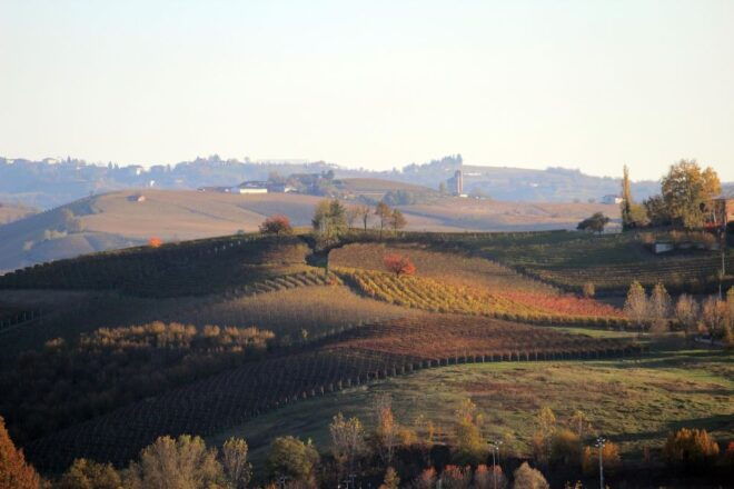 Langhe: Winery Tour and Wine Tasting - Additional Information