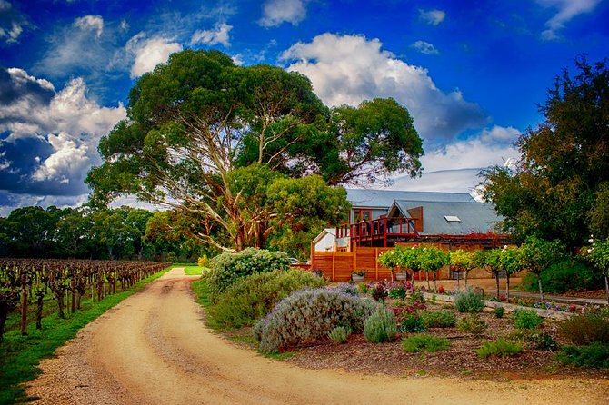 Langhorne Creek Wine Region Daytrip With Lunch From Adelaide - Wine Tasting at Four Wineries