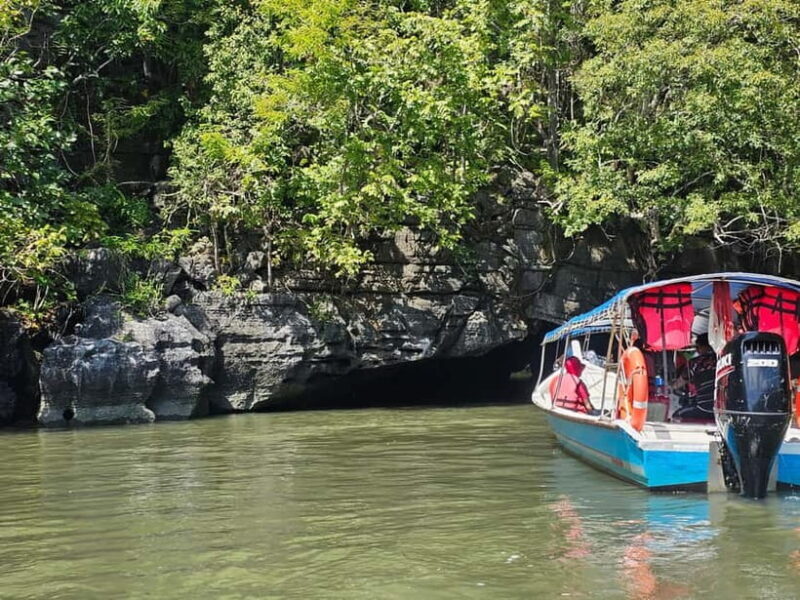 Langkawi: 3-Hour Shared Kilim Geoforest Mangrove Boat Tour - Good To Know